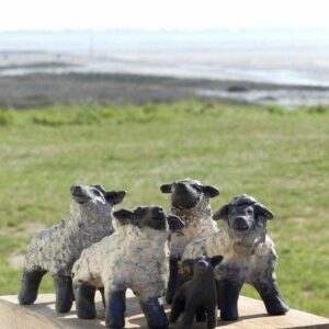 les moutons des prés salés raku