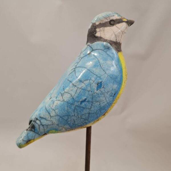 Mésange bleue  sur tige (L)