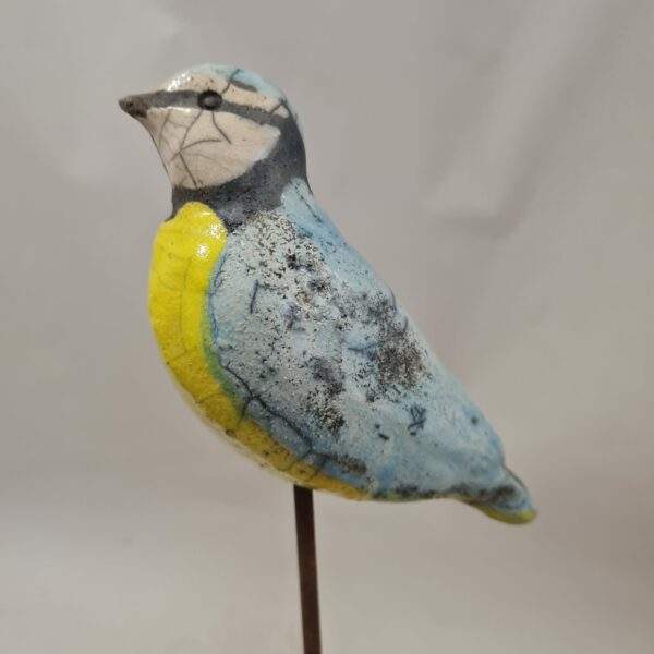 Mésange bleue  sur tige (L) – Image 2