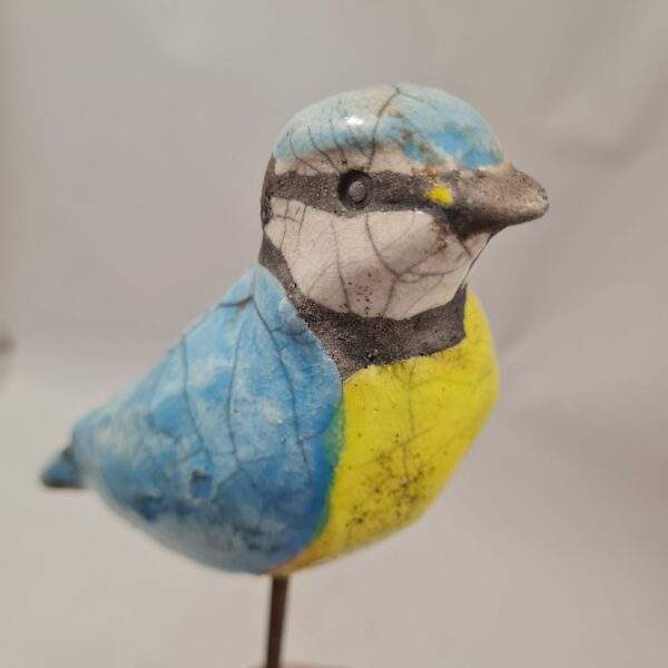 Mésange bleue  sur tige (L) – Image 3