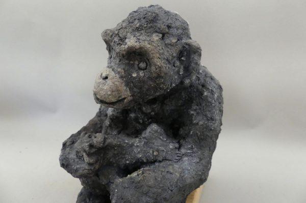 Portrait d'une maman singe Gorille avec son petit dans les bras