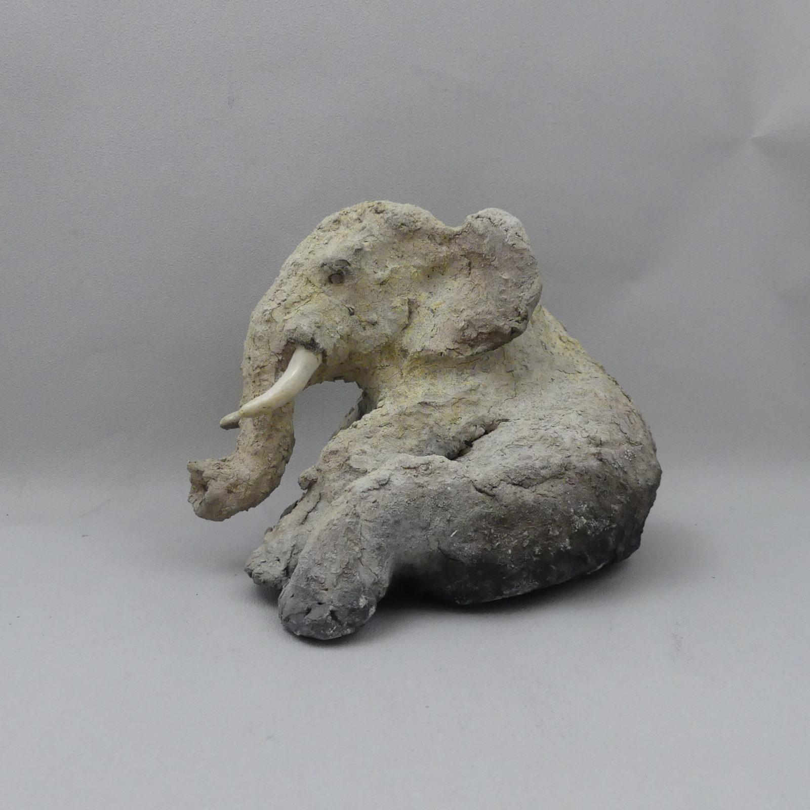 1.elephant assis (3)