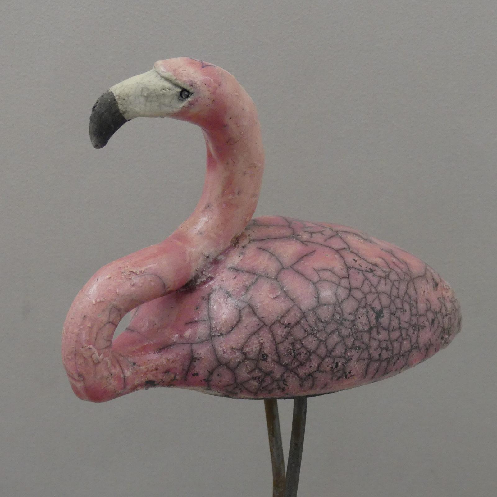 8.flamant rose (3)