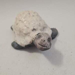 Tortue blanche (M)