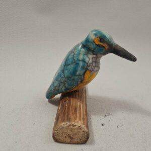 Martin pécheur aux aguets sur sa branche