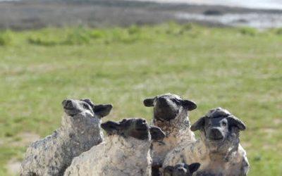Moutons et agneaux en Poterie raku — un clin d’œil aux prés salés