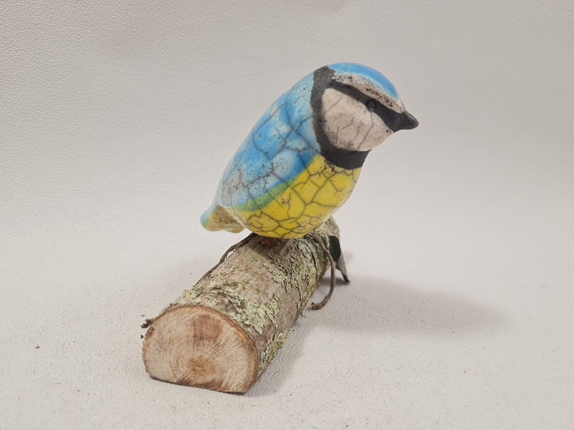 Mésange bleue – Image 3