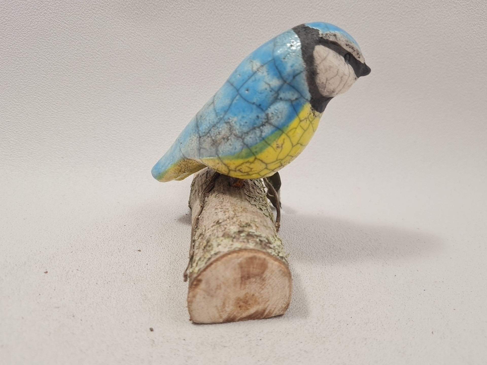 Mésange bleue – Image 4