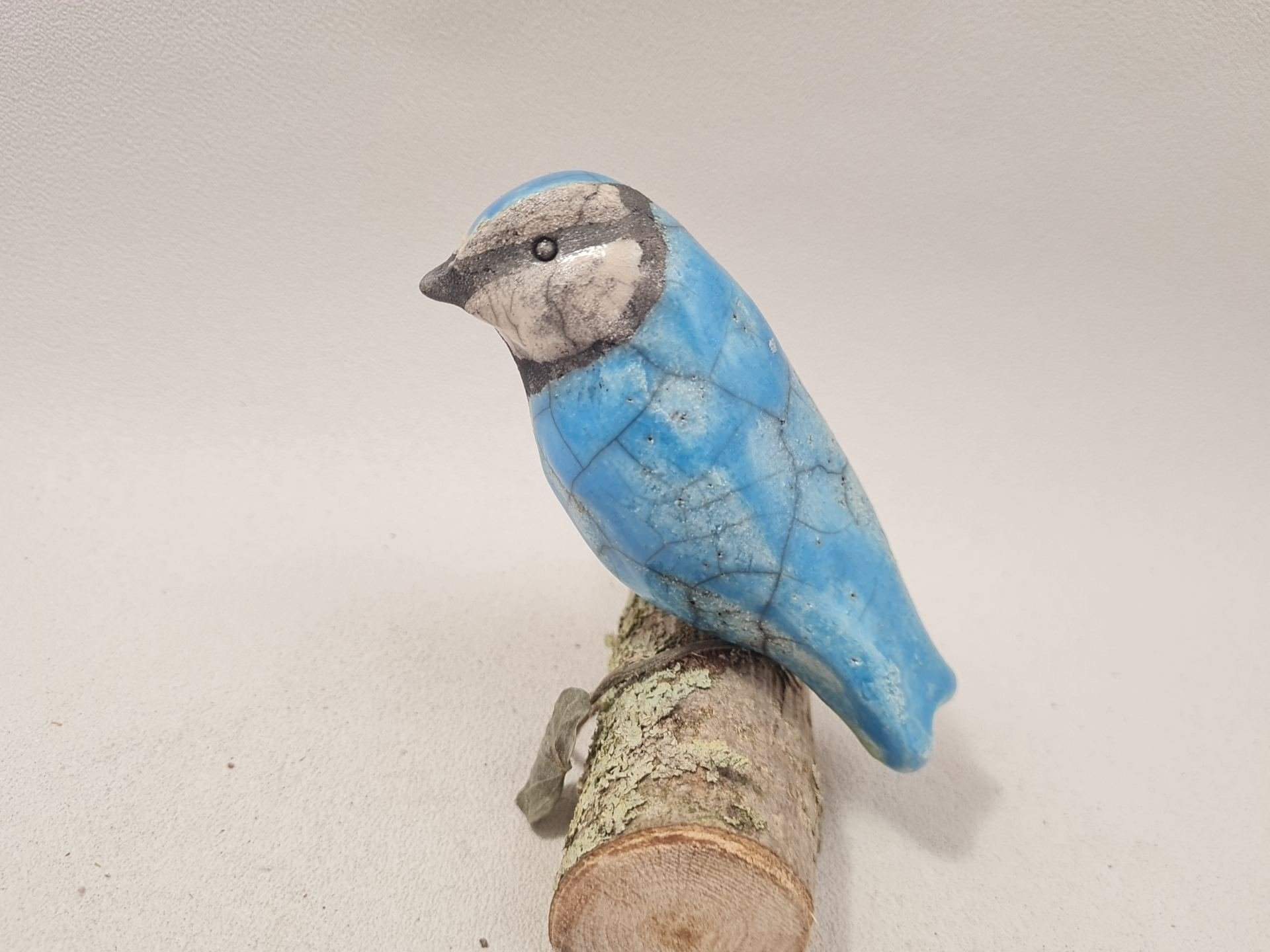 Mésange bleue – Image 2