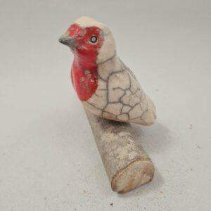 Rouge gorge sur une branche