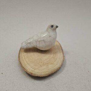 Mini colombe sur une branche