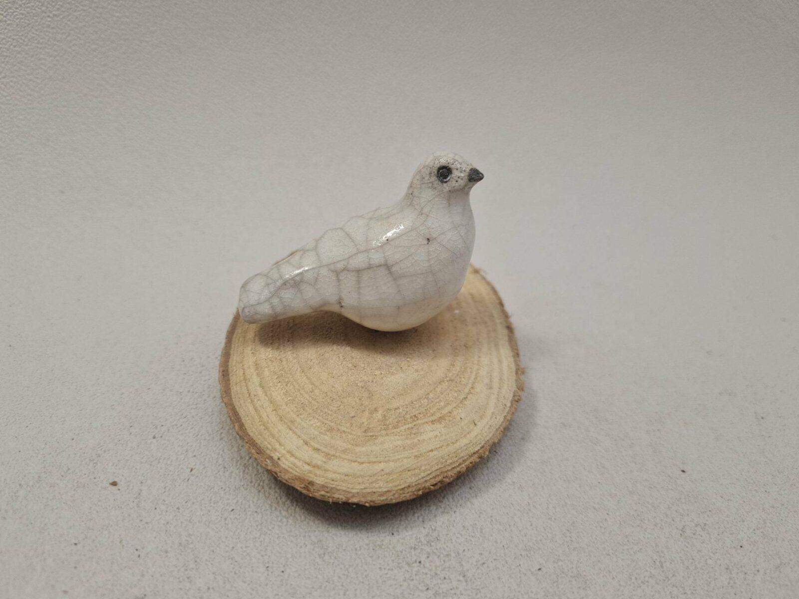 Mini colombe sur une branche