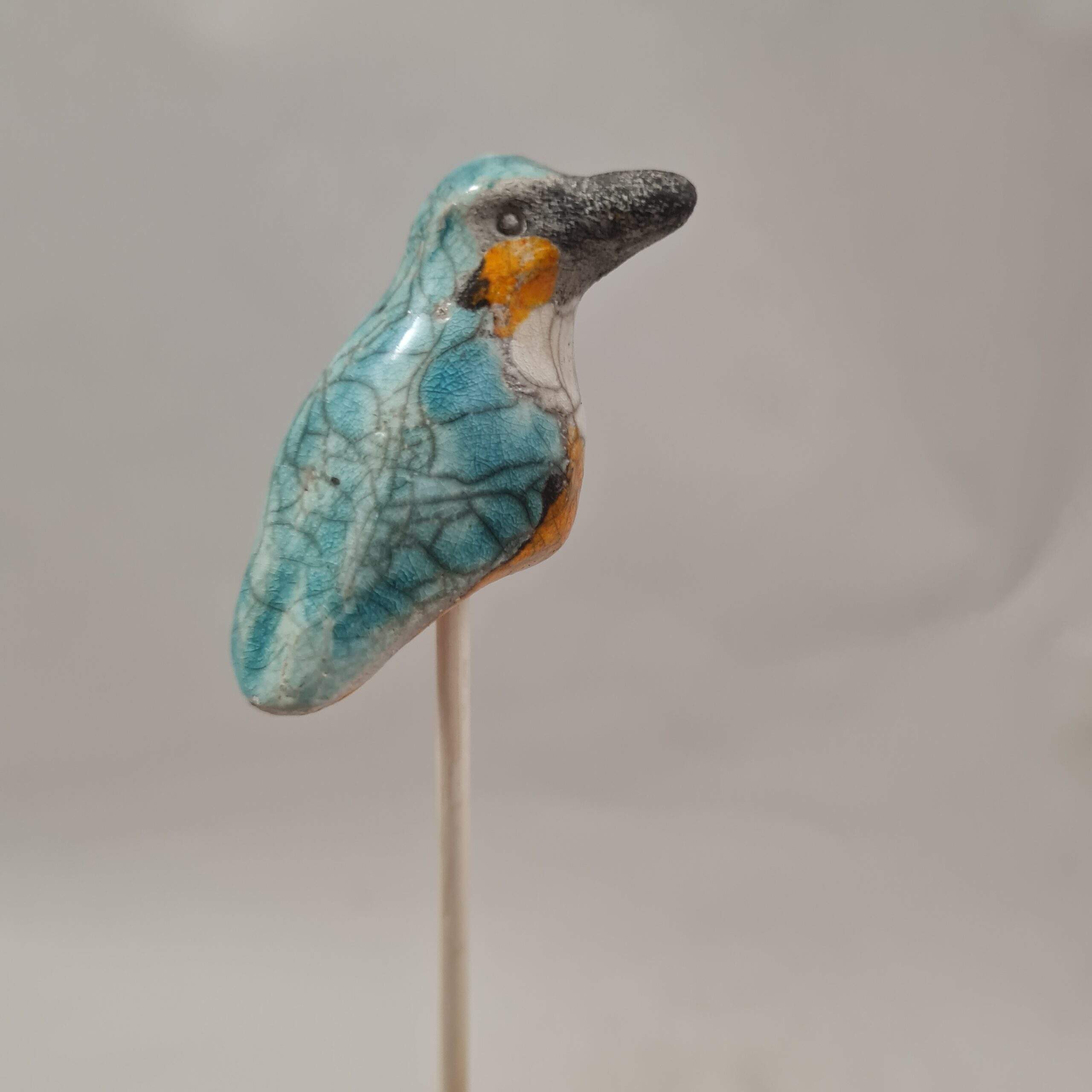 Martin pêcheur sur une tige. Tiny