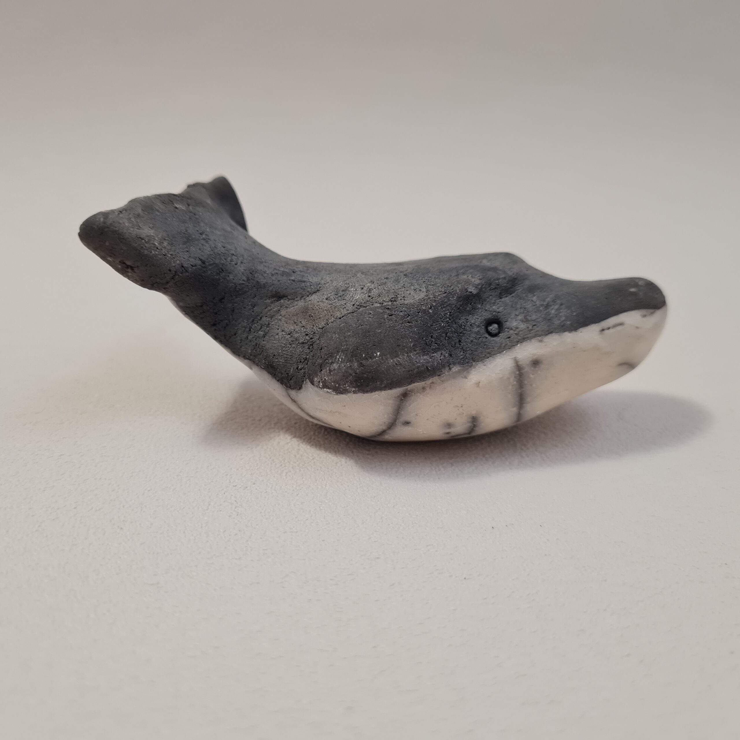 Baleine à bosse - baleineau