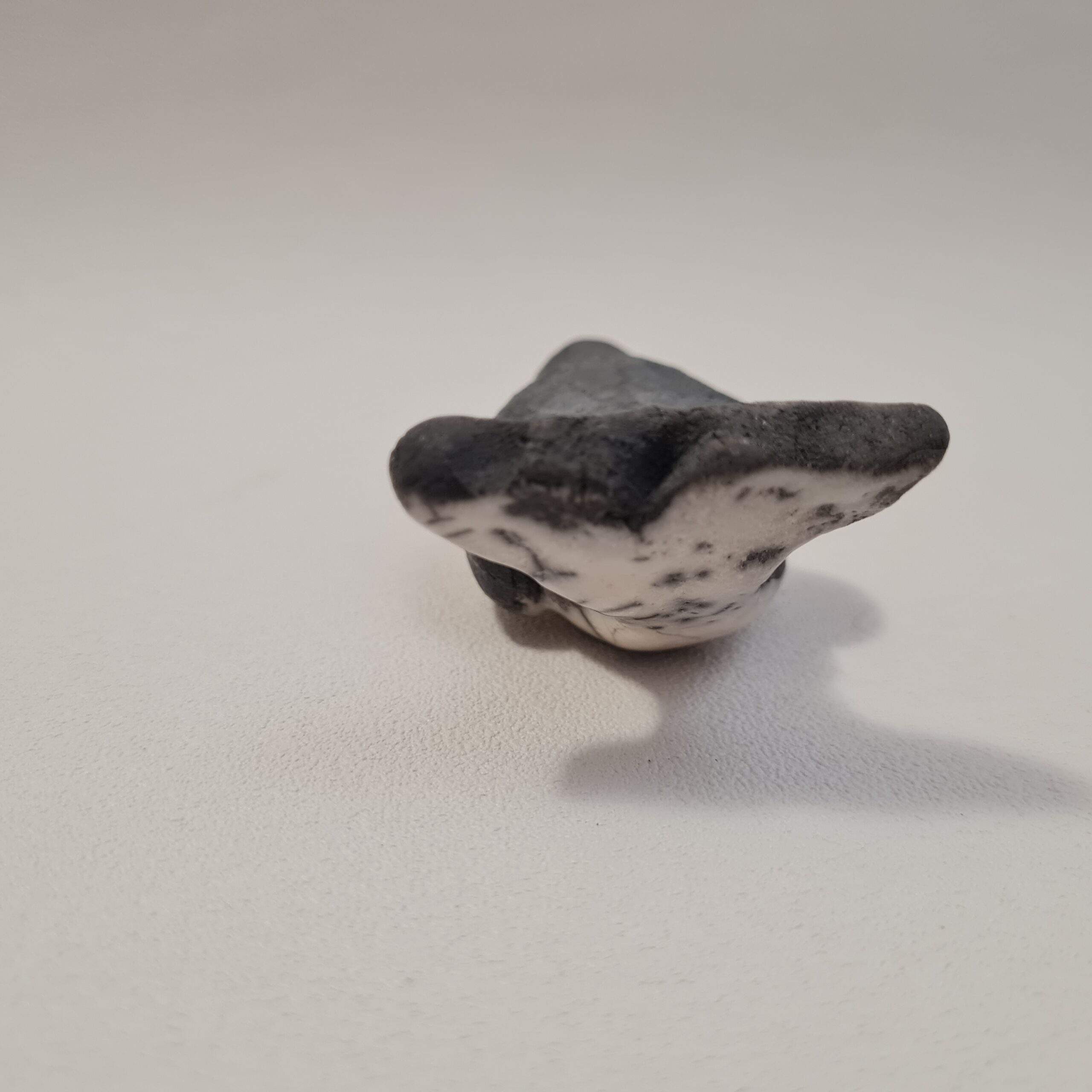 Baleine à bosse - baleineau – Image 4