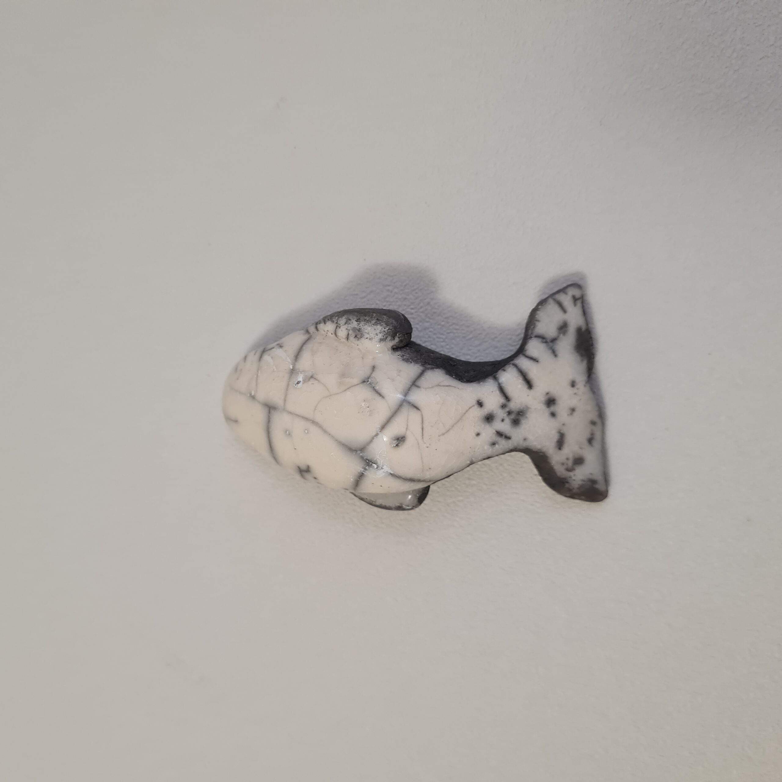 Baleine à bosse - baleineau – Image 5