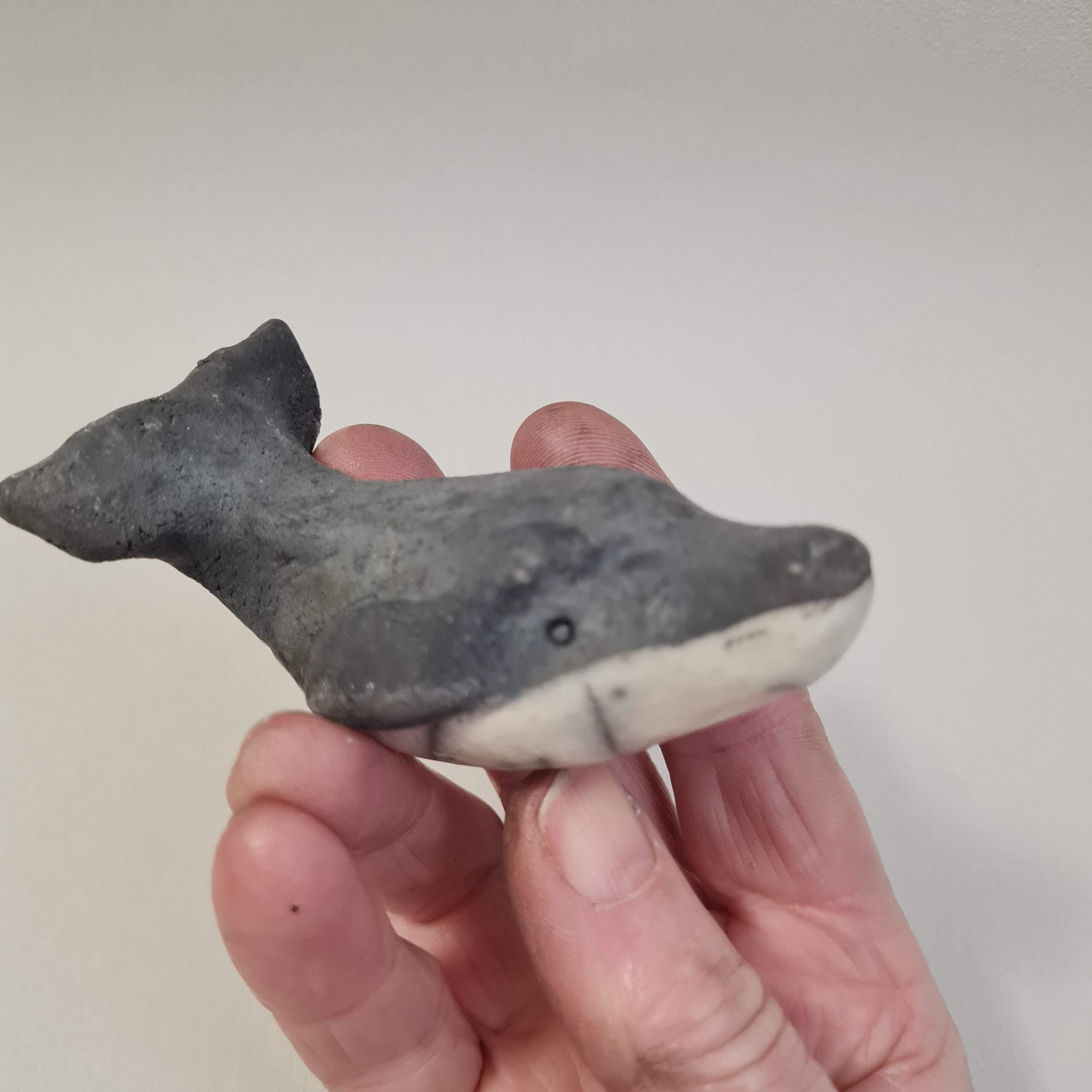 Baleine à bosse - baleineau – Image 6