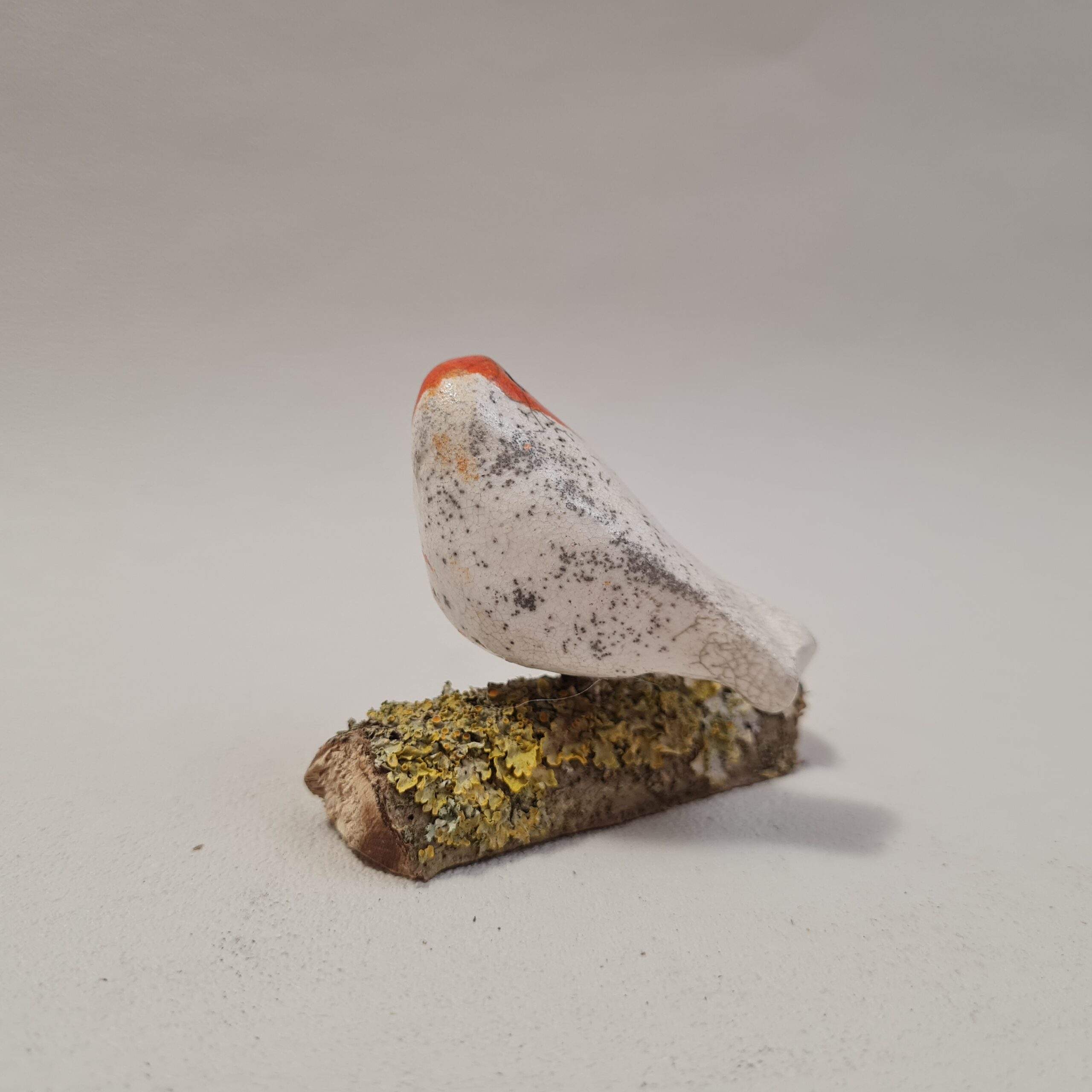 Mini Rouge gorge sur une branche – Image 4