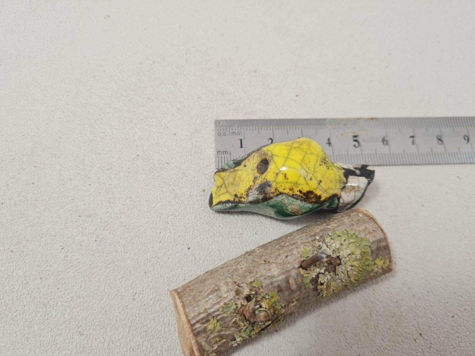 Mésange Charbonnière (xS) sur une branche – Image 3