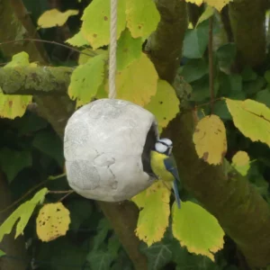 Mangeoire craquelé pour oiseaux 
