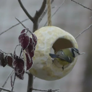 mangeoire pour oiseaux en grès, ton de jaune, avec une mésange bleue en train de manger