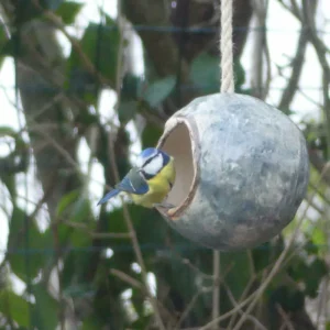 Mangeoire bleu pour nourrir les oiseaux   - résistante au gel