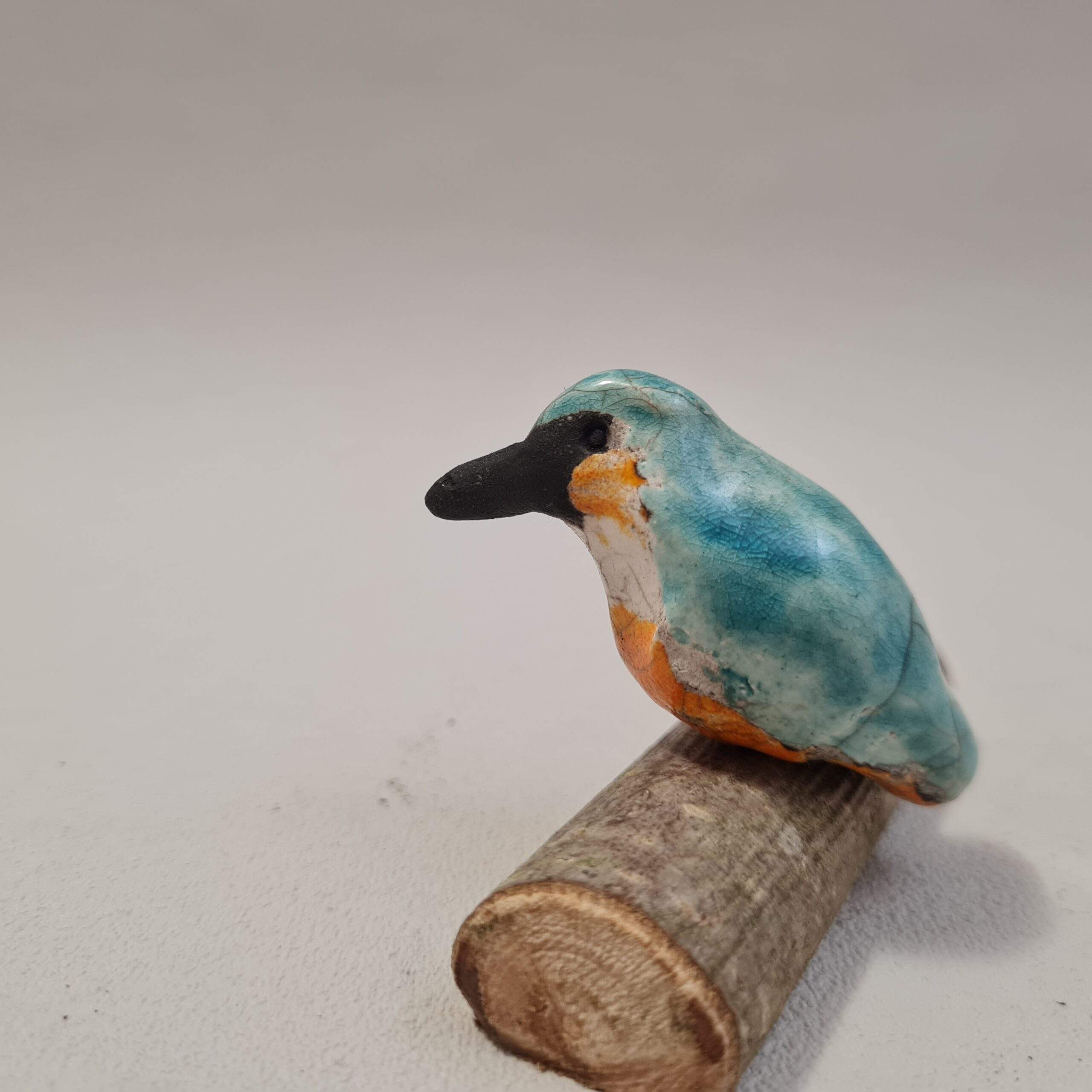 Martin pêcheur (xS) sur une branche – Image 2