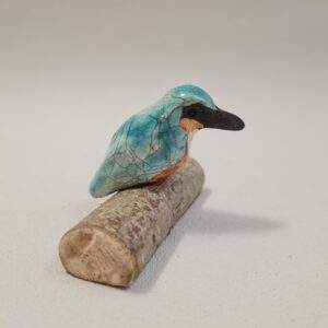 Martin pêcheur (xS) sur une branche