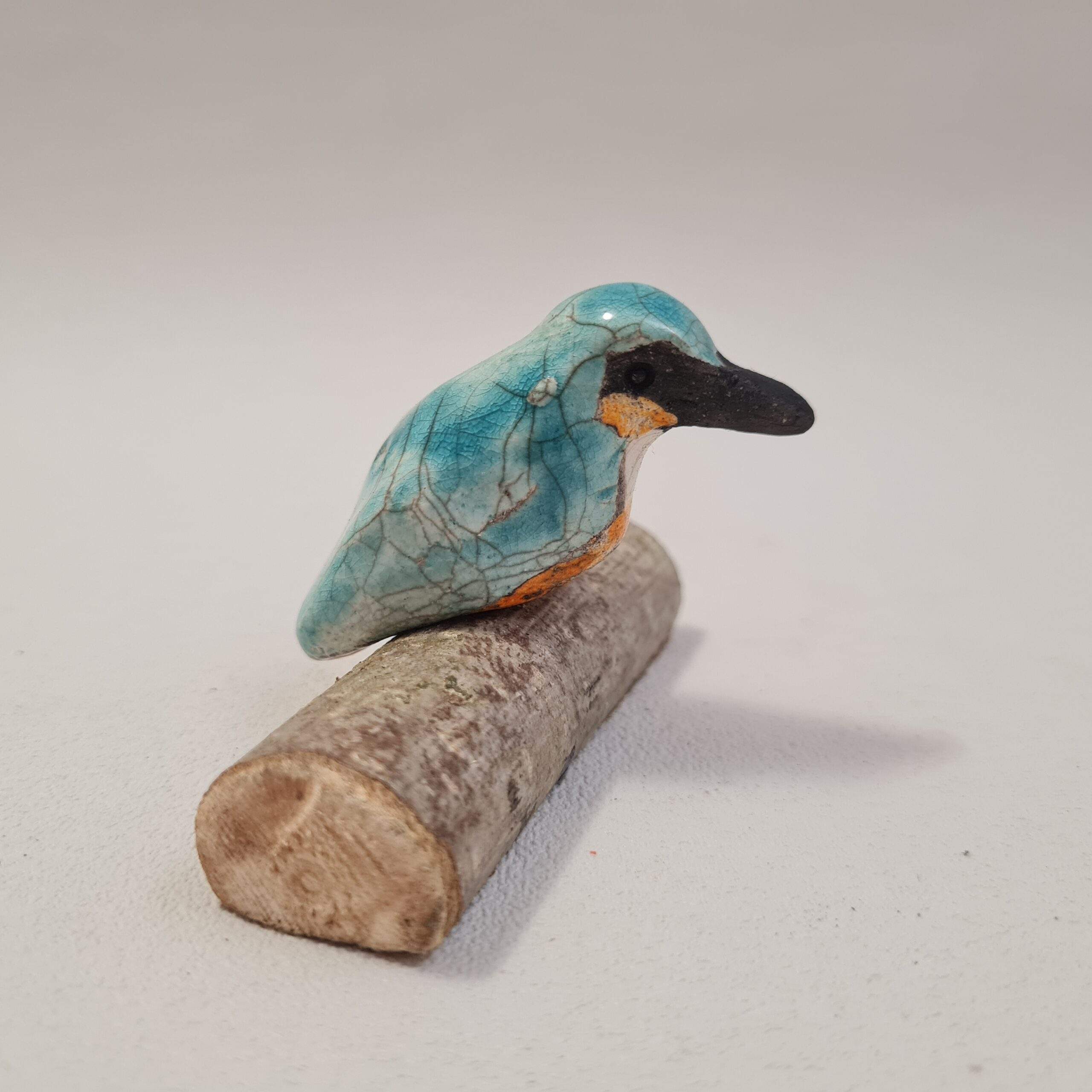 Martin pêcheur (xS) sur une branche