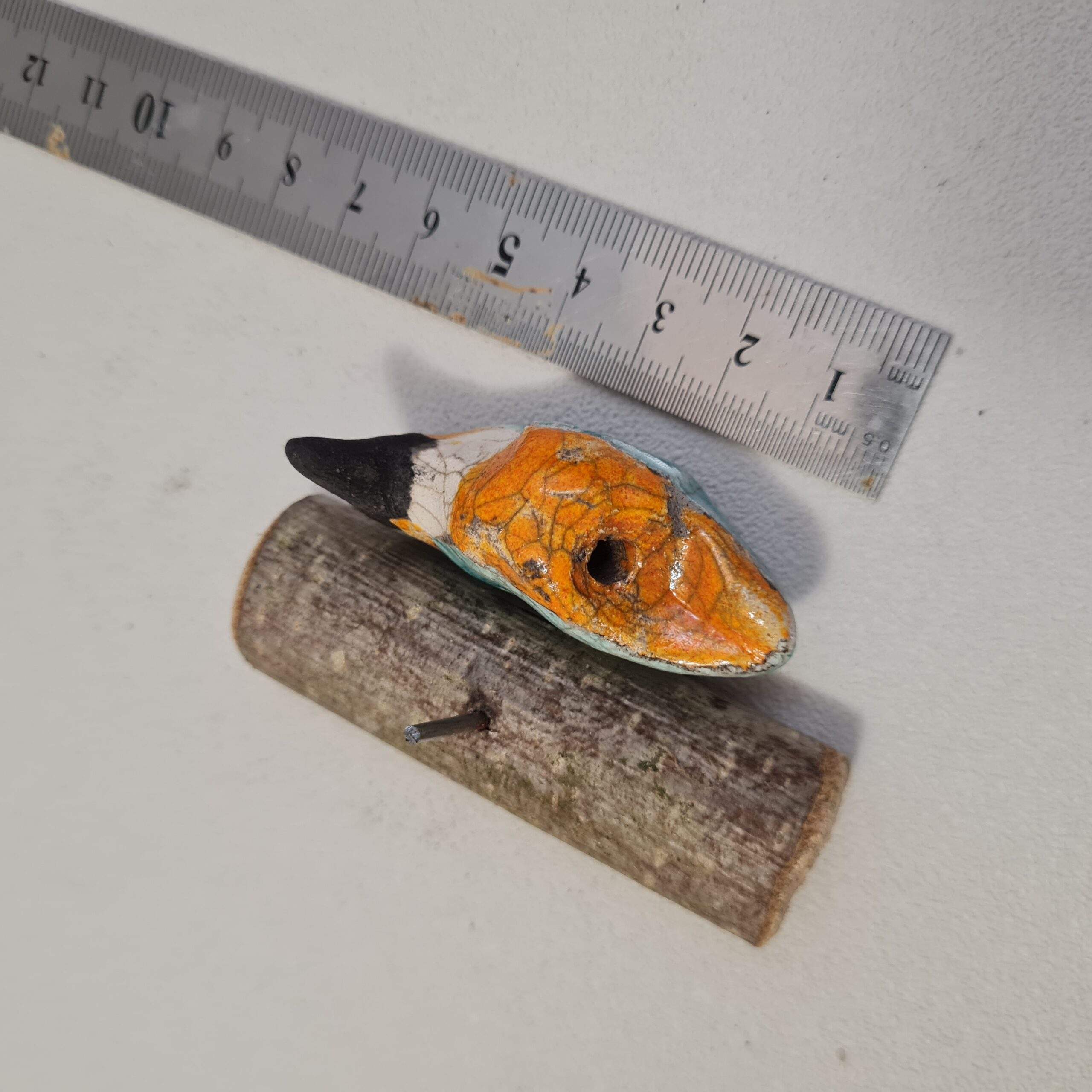 Martin pêcheur (xS) sur une branche – Image 3