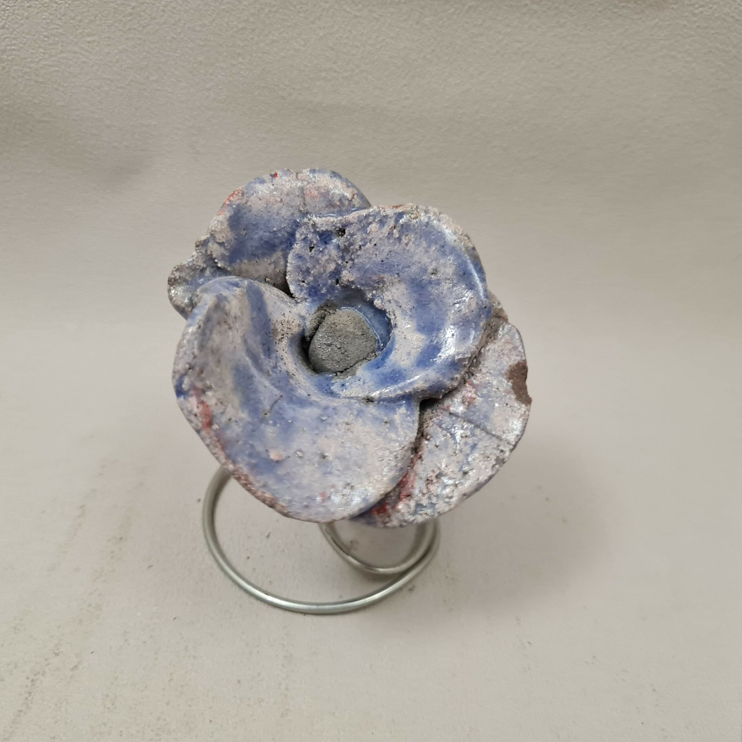 Coquelicot bleu – Image 2