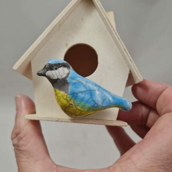Mésange bleue mini devant son nichoir – Image 2
