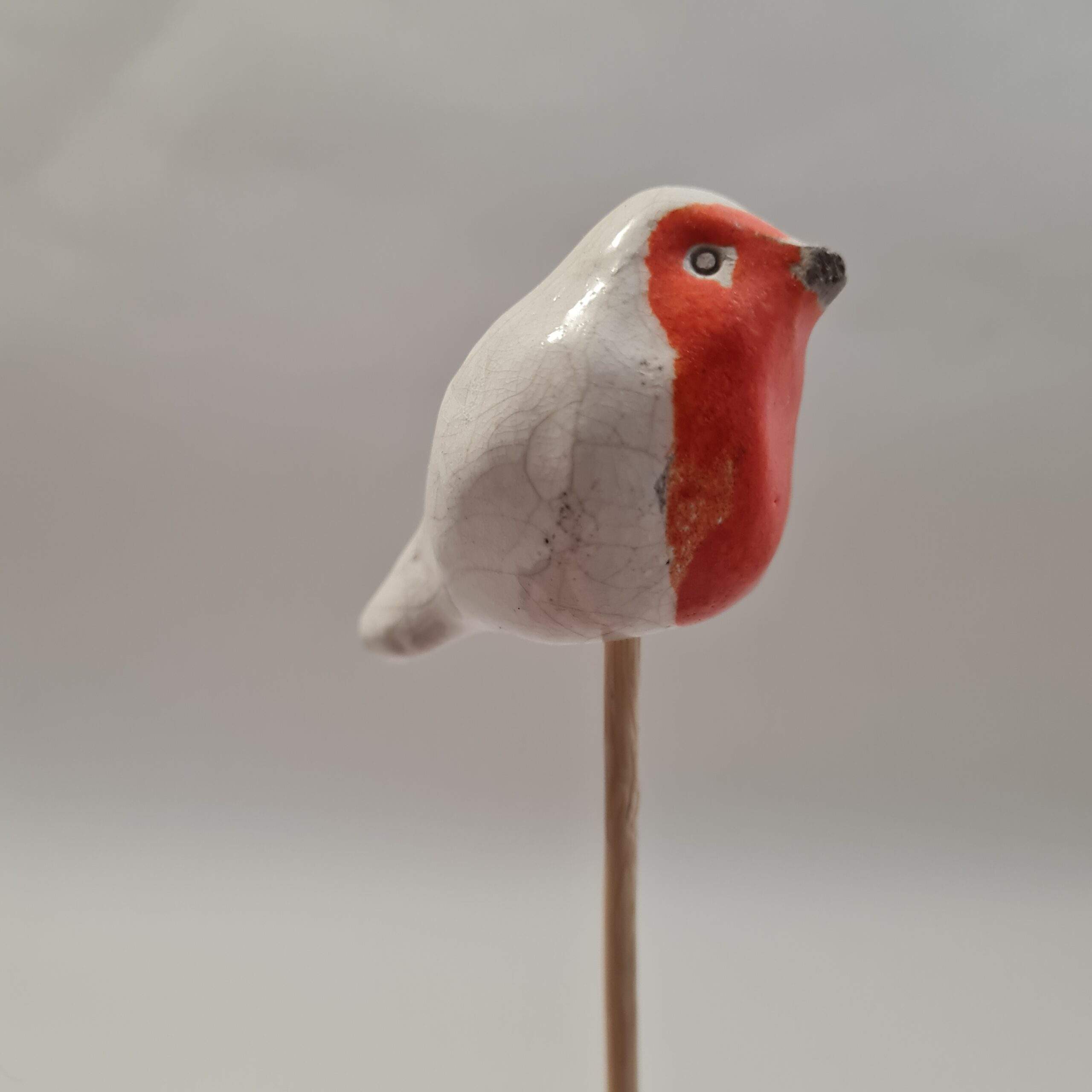 Rouge gorge sur tige - Tiny – Image 2