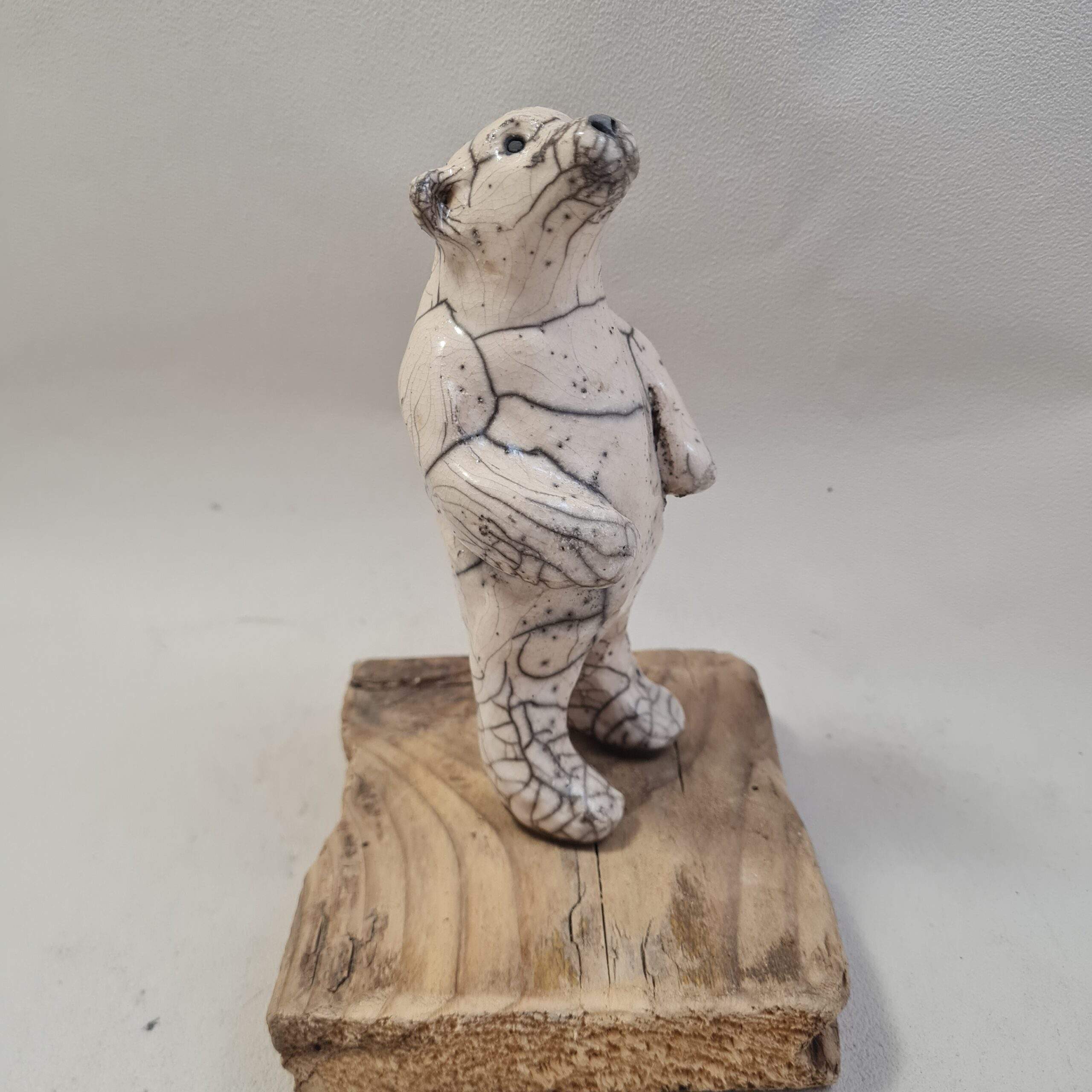 Ourson blanc " Mmm, Ca sent bon"