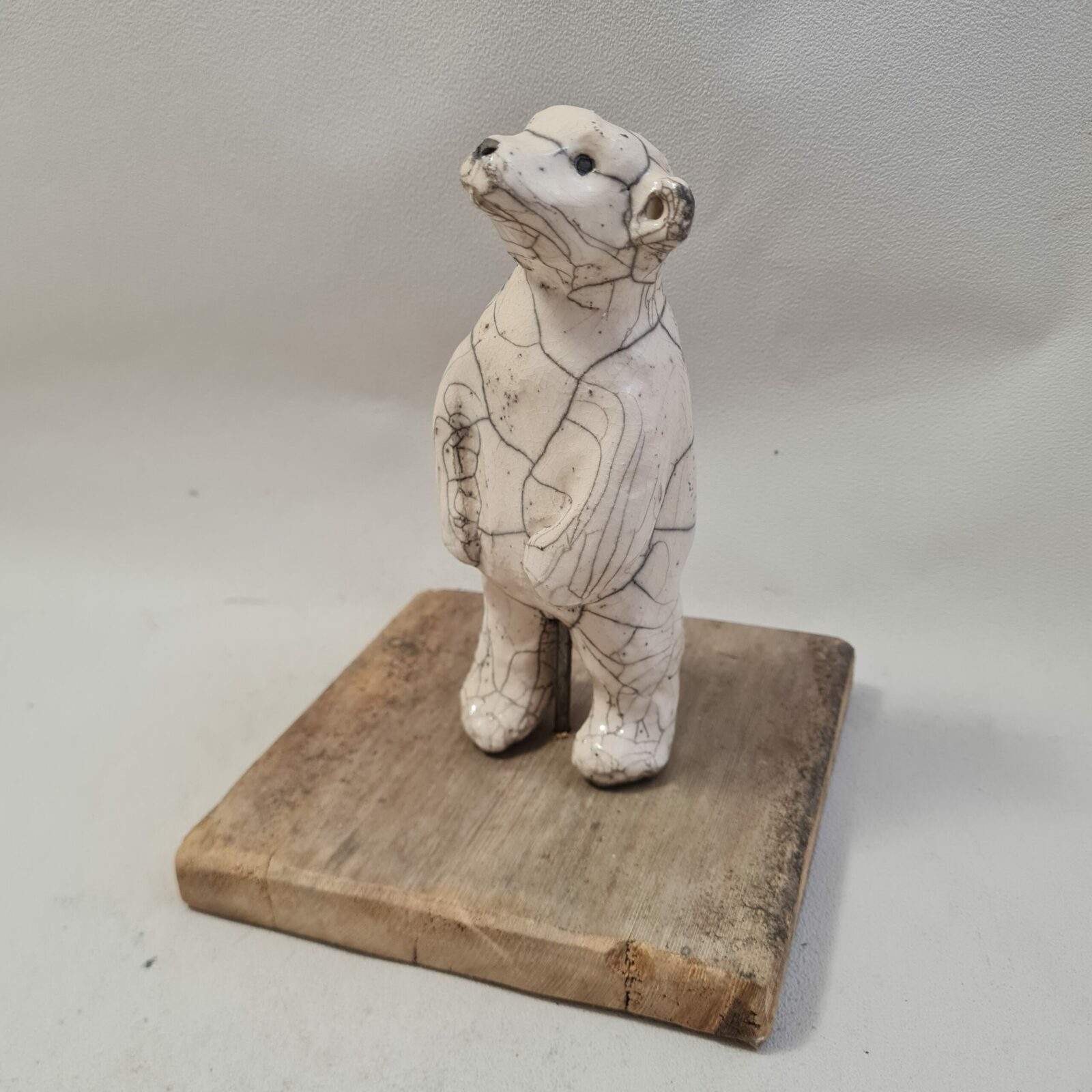 Ourson blanc debout trop mignon – Image 5