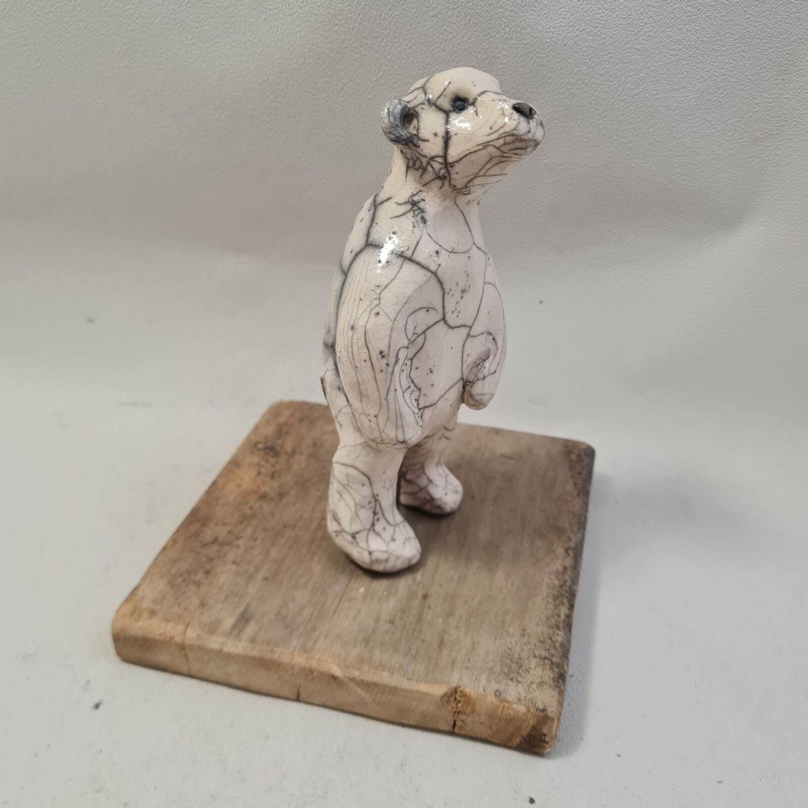 Ourson blanc debout trop mignon