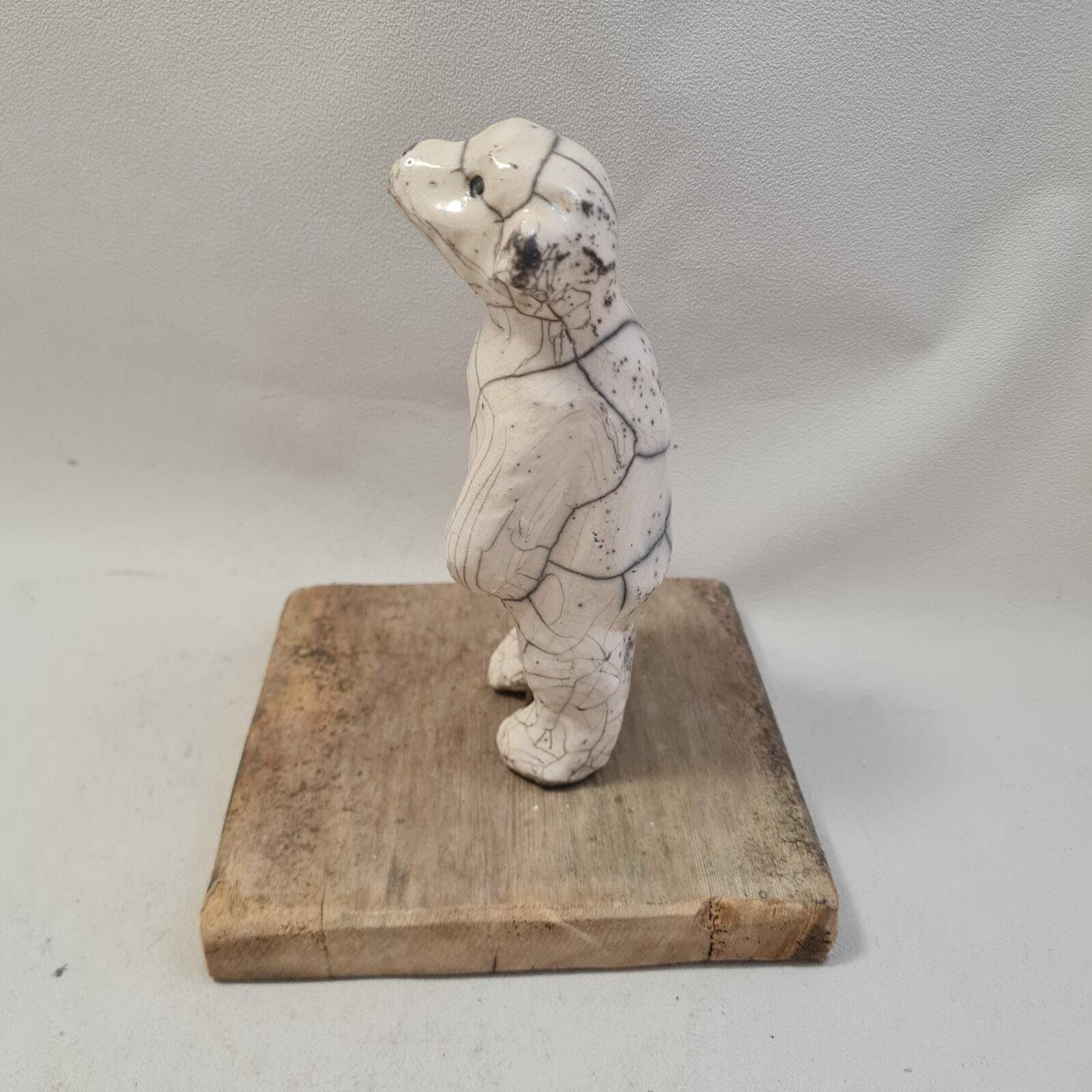 Ourson blanc debout trop mignon – Image 3