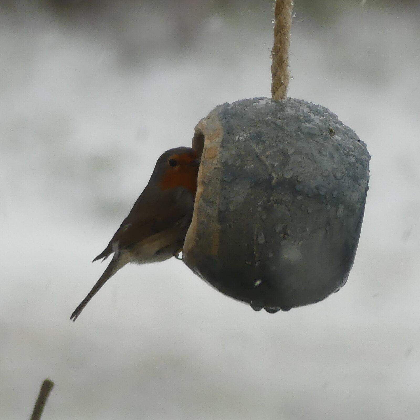 mangeoire grès bleu bojo (9) Mangeoire en forme de boule ouverte sur les deux côtés. Céramique raku. Avec une mésange charbonnière posée sur un bord