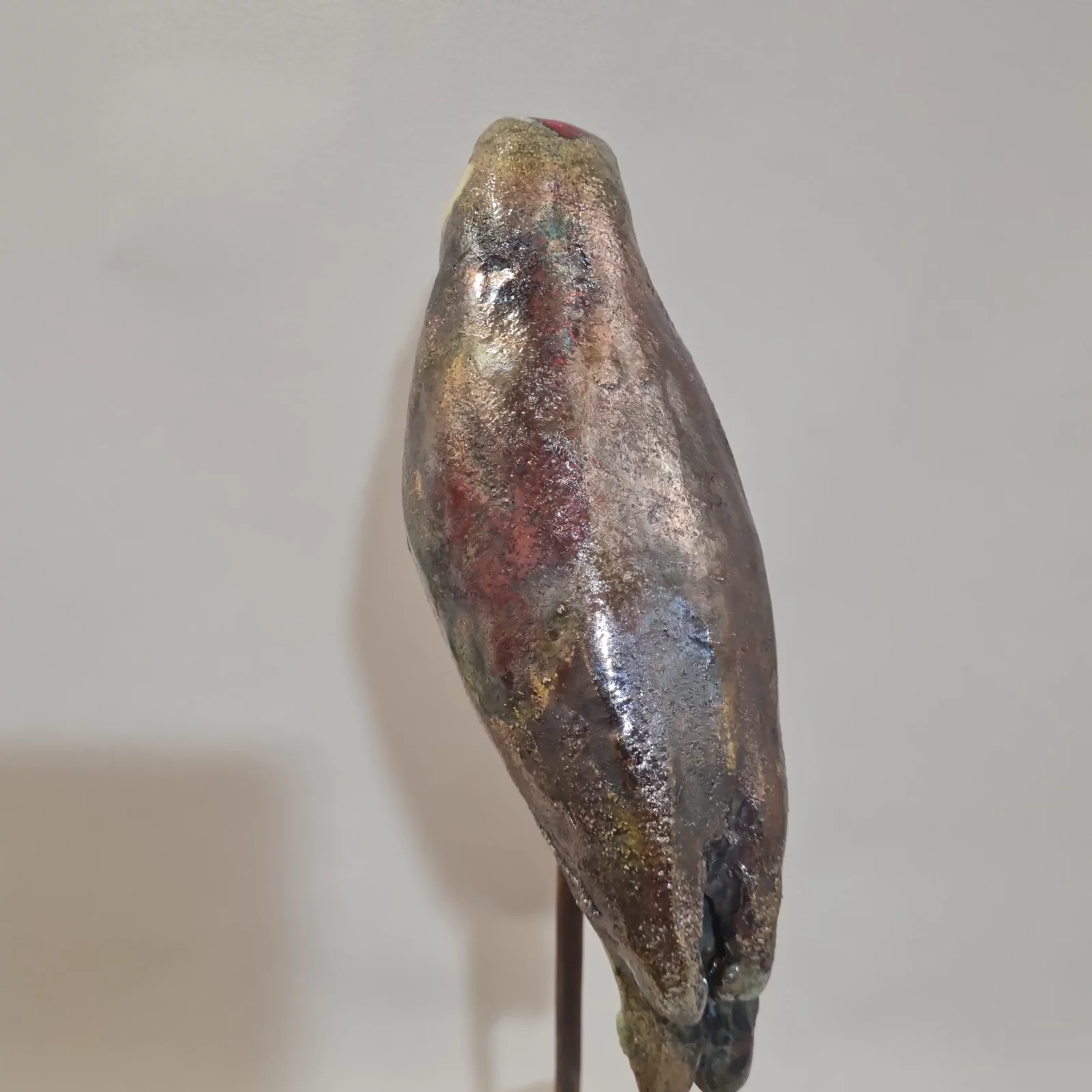 Pivert L (pic vert) – Image 4