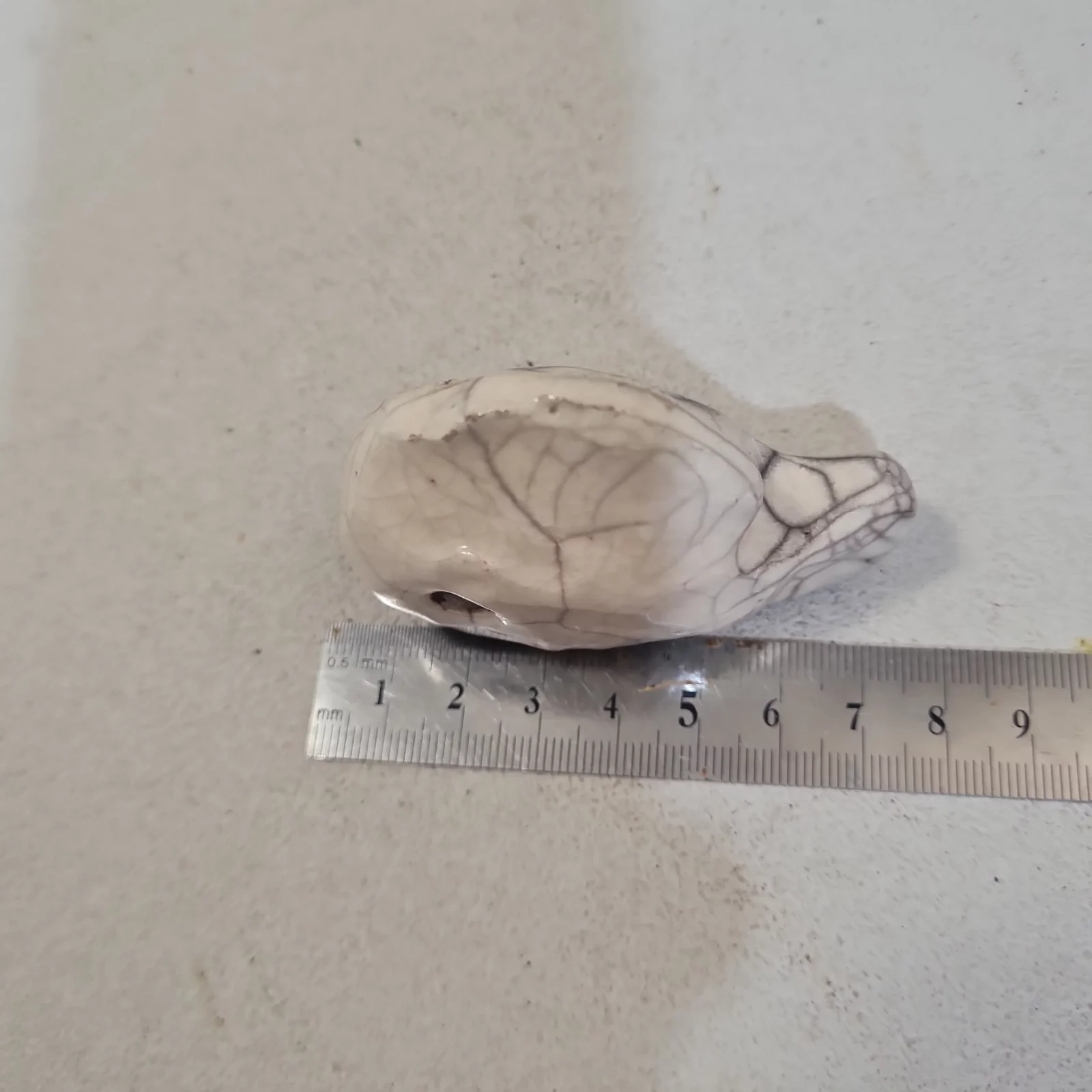 Poisson céramique raku – Image 4