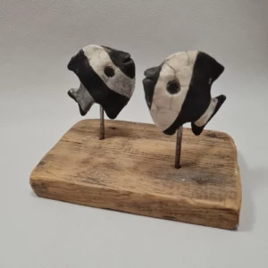 Duo poissons de scalaires en raku